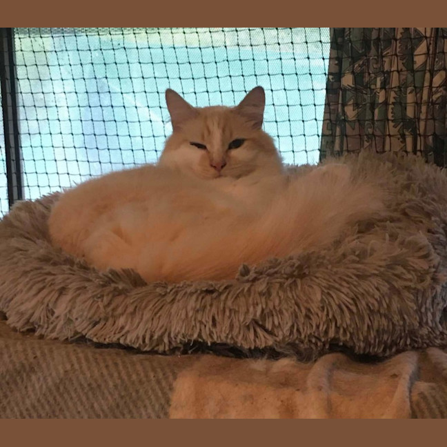 Photo of Charlie