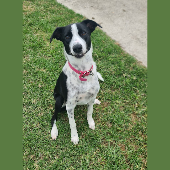 Photo of Maysie