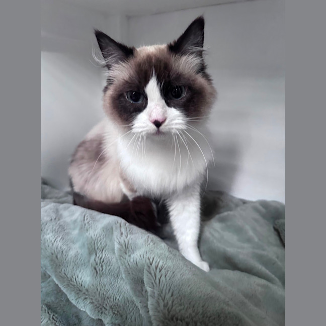 Photo of Clara 