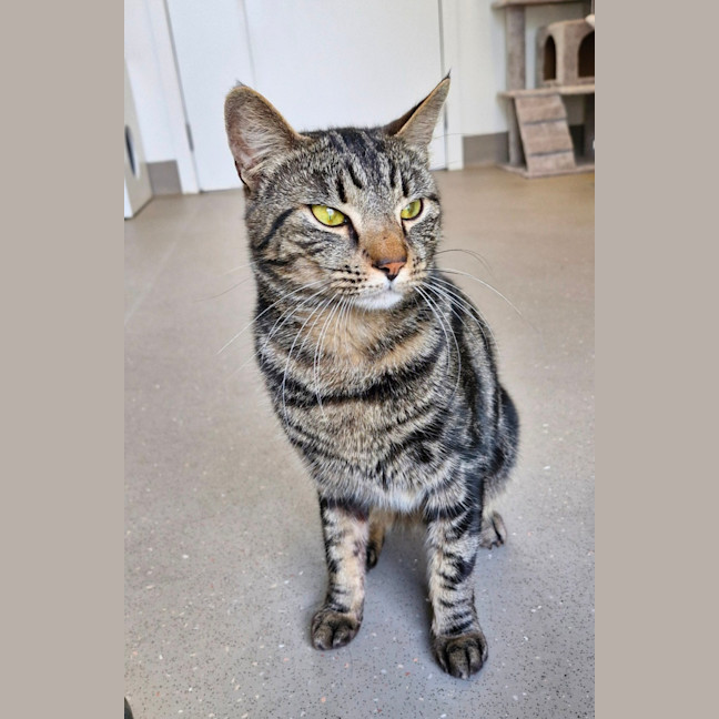 Photo of C1347 Jebadiah