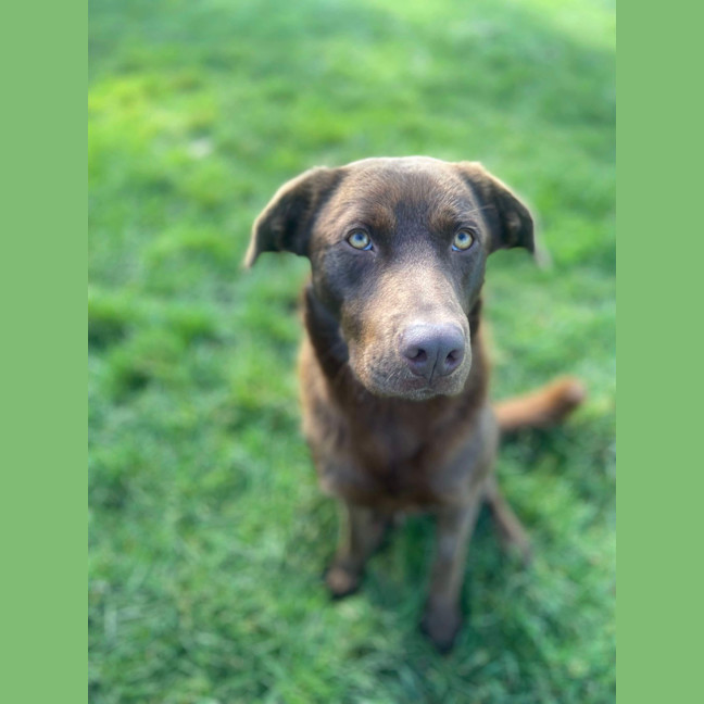 Photo of Max