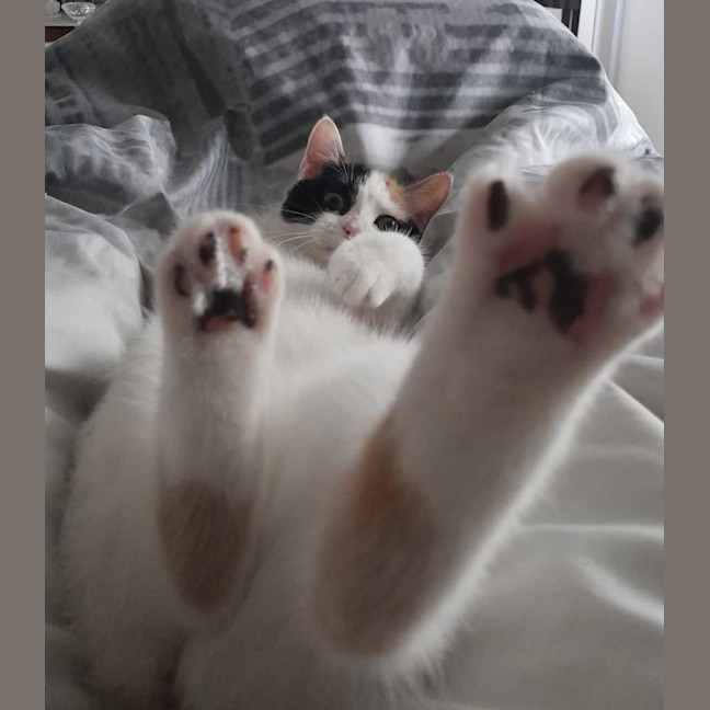 Photo of Lily