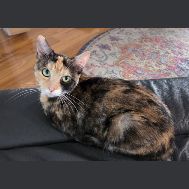 Photo of Hazel 