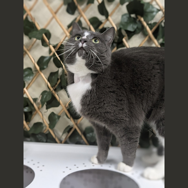 Photo of 💟 Smudge 6353 💟