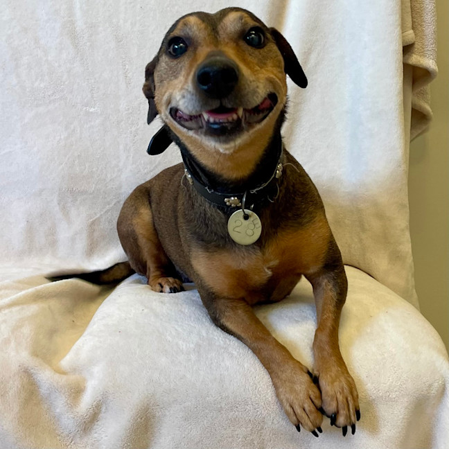 Photo of Roxy