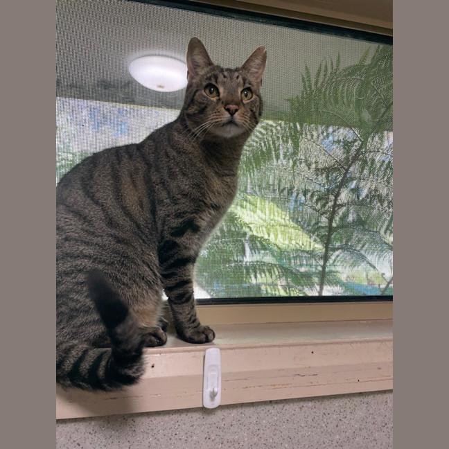 Photo of Louie