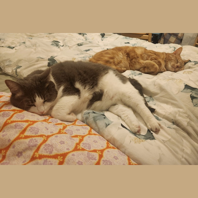 Photo of Theo & Ronnie