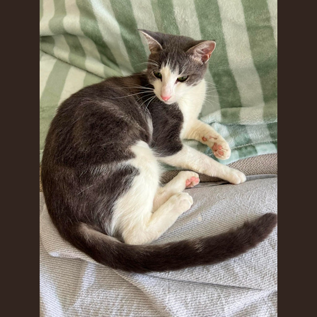 Photo of Maisey
