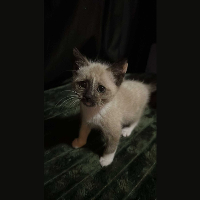 Photo of Riff