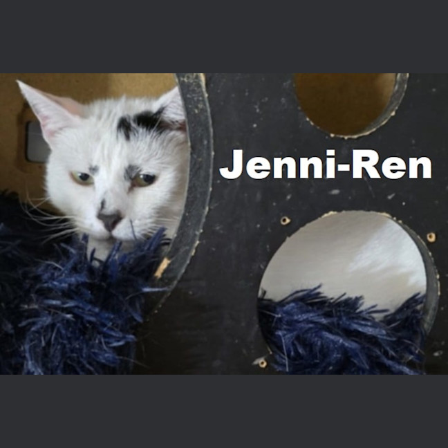 Photo of Jenni Ren
