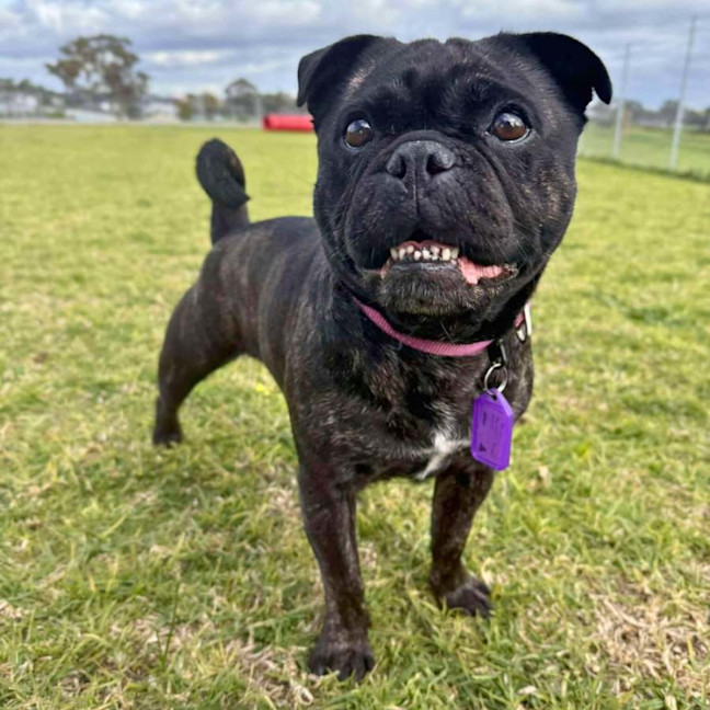 Photo of 🍇Raisin🍇