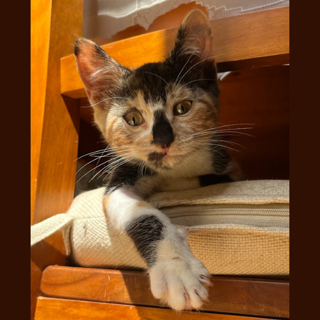 Photo of Lottie & Cindy 🌺🌺