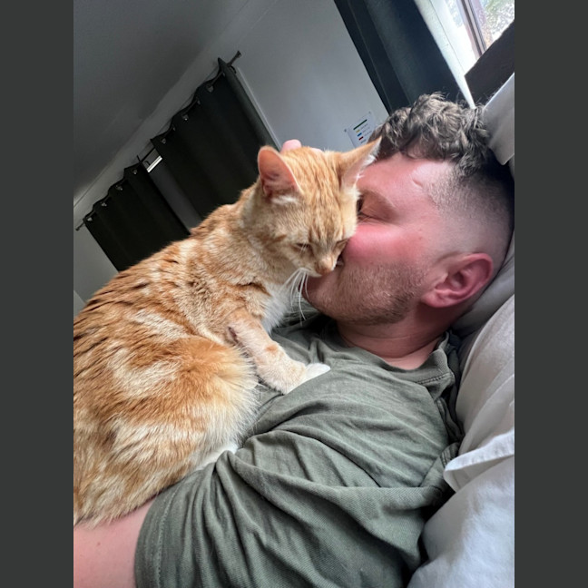 Photo of Nemo