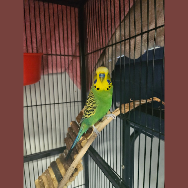 Photo of Zacariah