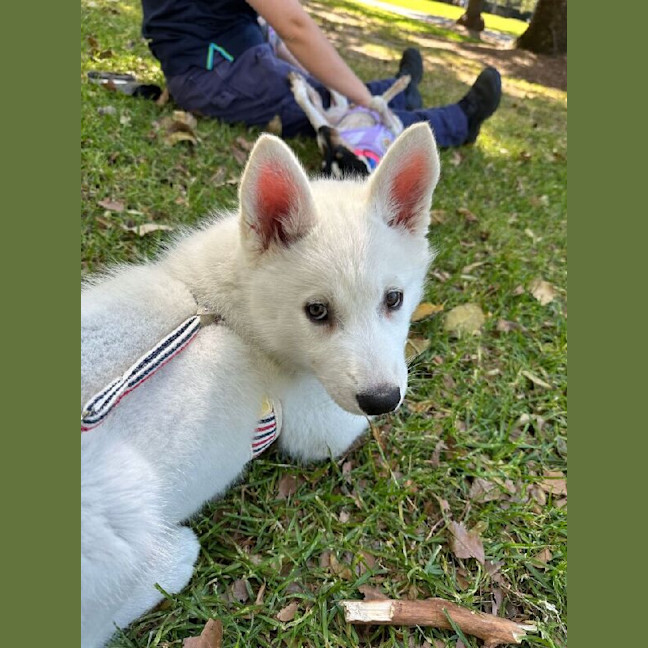 Photo of Maya