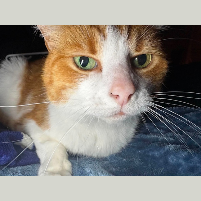 Photo of Charlie 