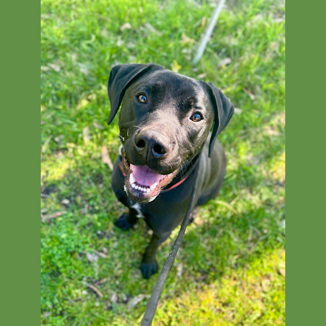 Photo of Bobbi
