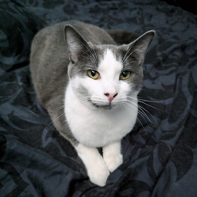 Photo of Buster