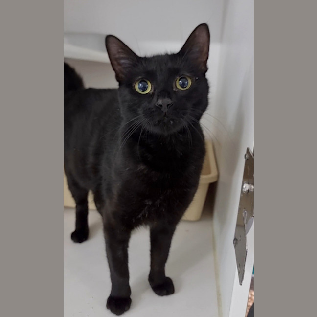 Photo of Missy