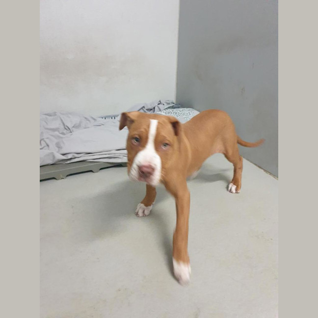 Photo of Bronx 