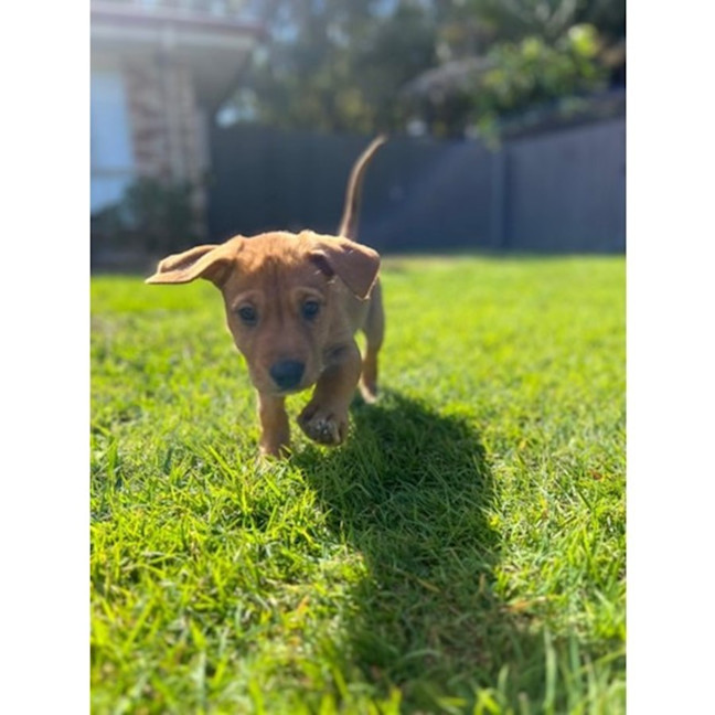 Photo of Maylie