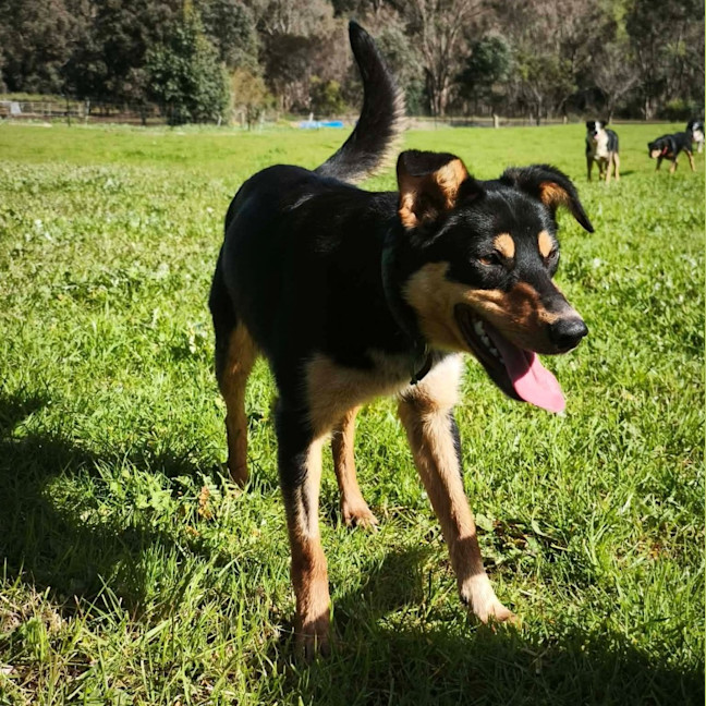 Photo of Lola