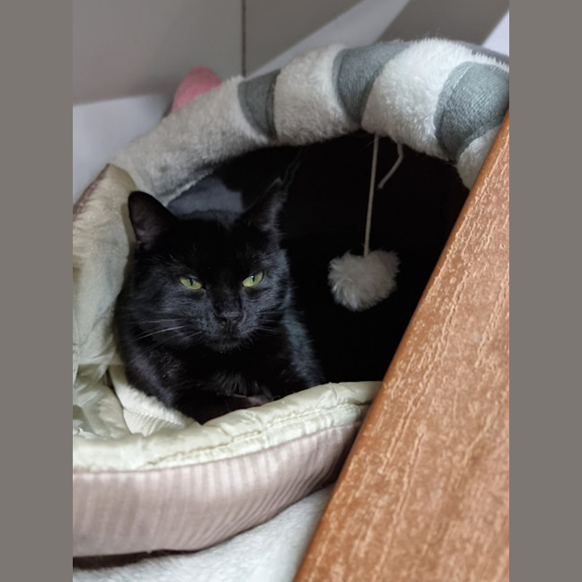 Photo of Dottie
