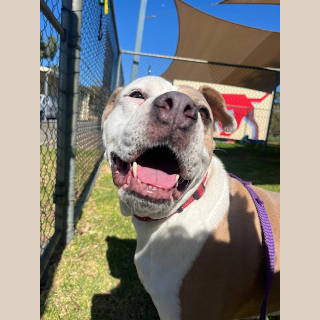 Photo of Mia