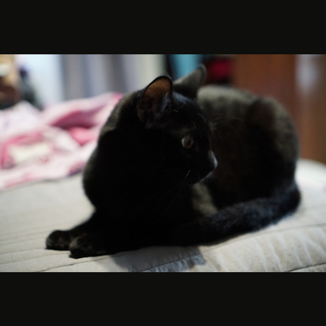 Photo of Klaus