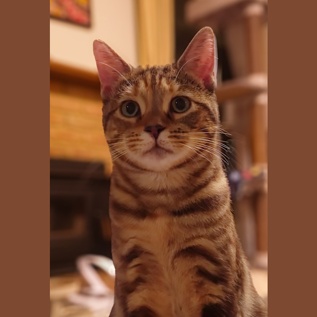 Photo of Mila