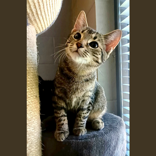 Photo of Smooch