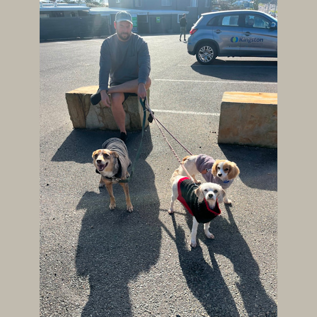 Photo of Anna   3 Year Old Maltese X