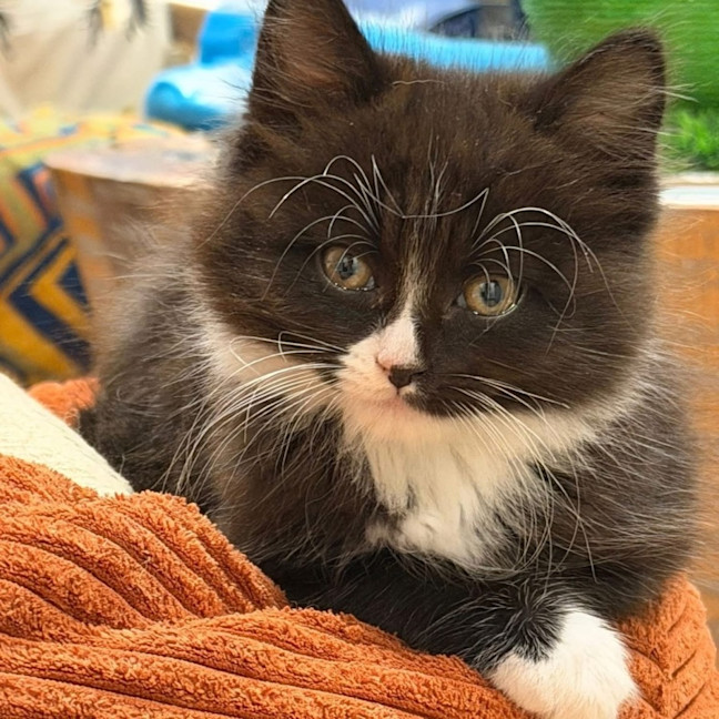 Photo of Thomas