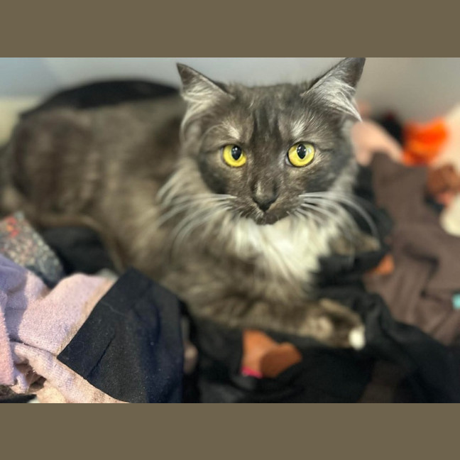 Photo of Mitzi