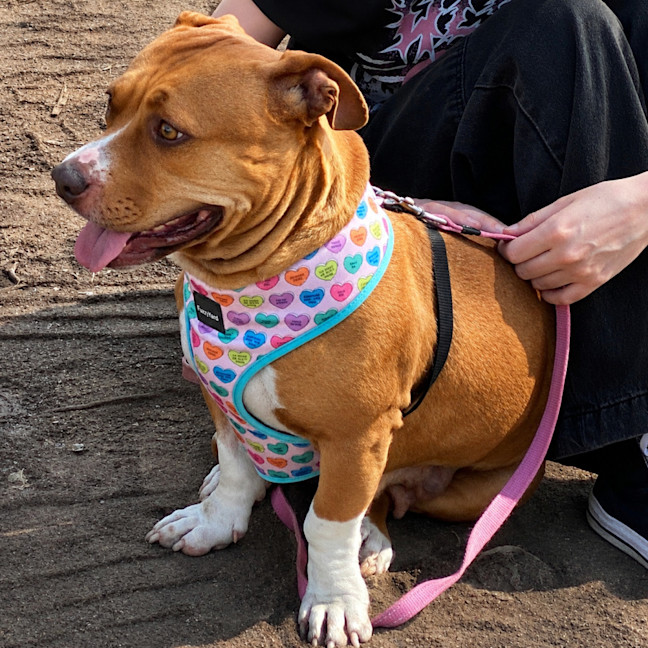 Photo of Sally