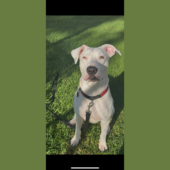 Photo of Wally