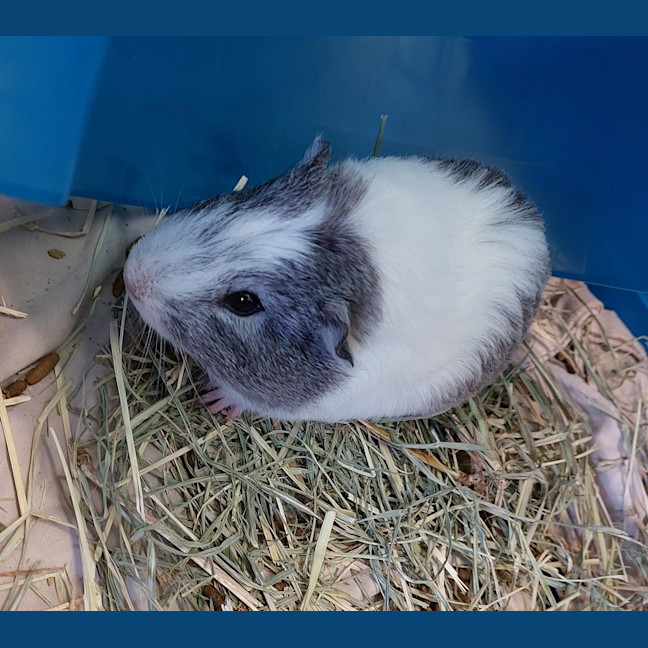 Photo of Fuzz Aldrin