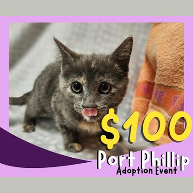 Photo of Sophia Loren 