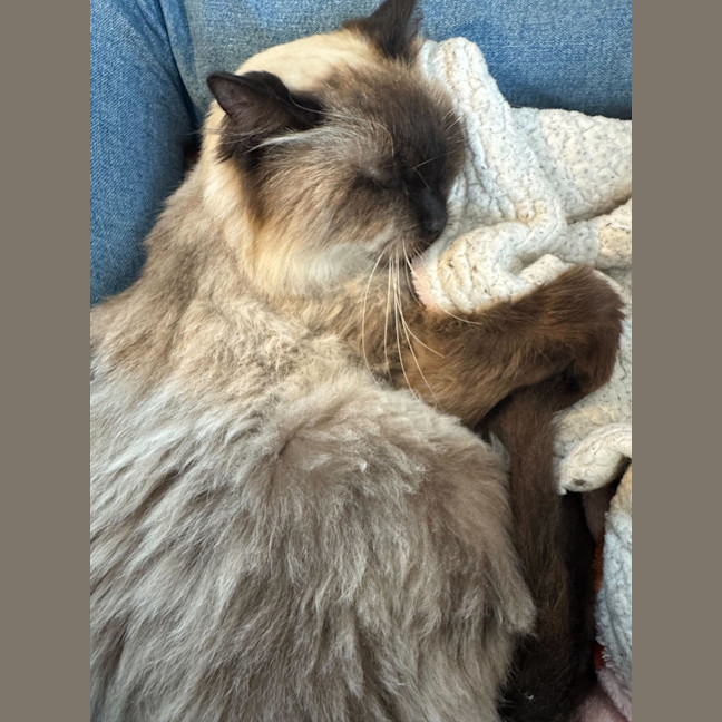 Photo of Elvis Presley