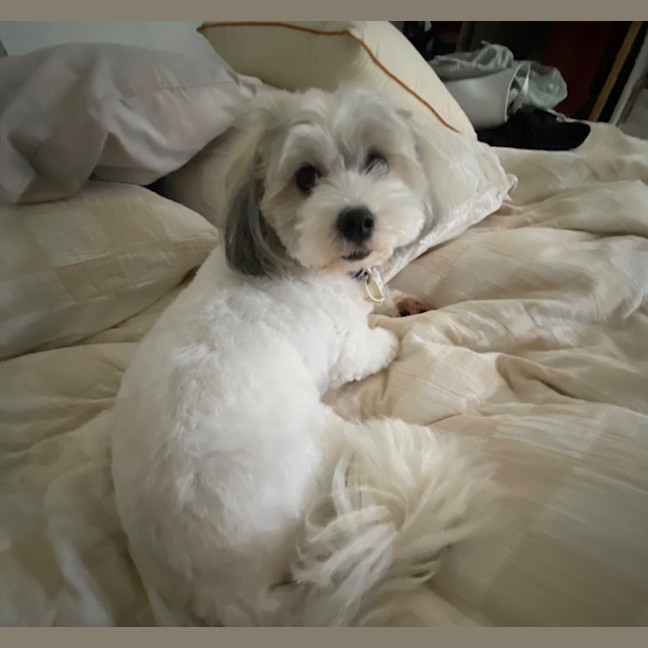 Photo of Millie
