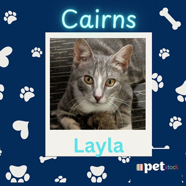 Photo of Layla