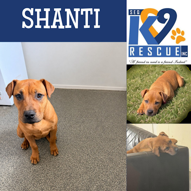 Photo of Shanti