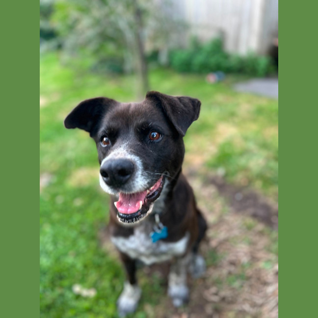 Photo of Tater