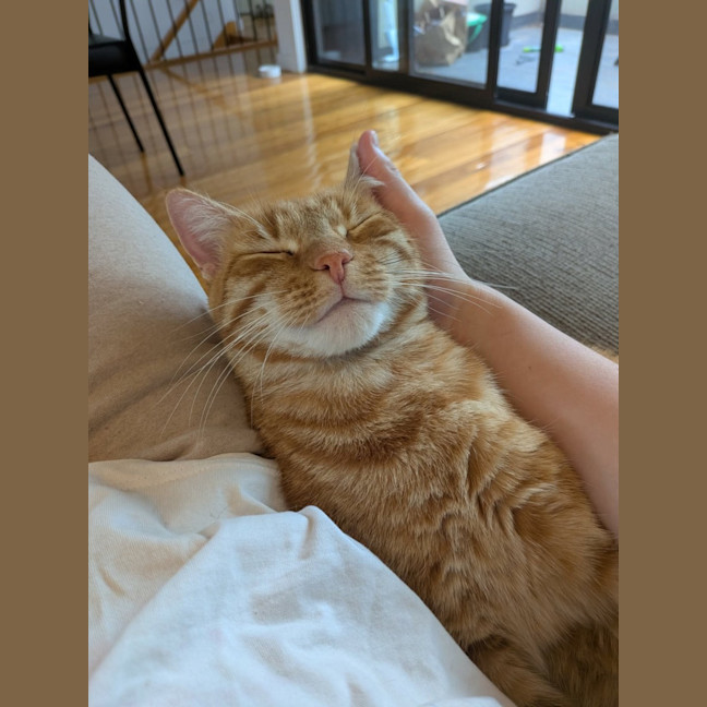 Photo of Ralphie 
