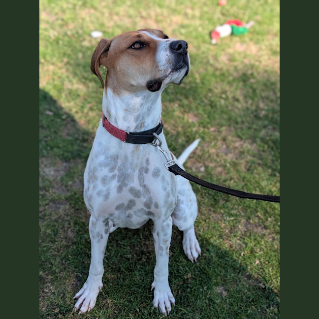 Photo of Marnie