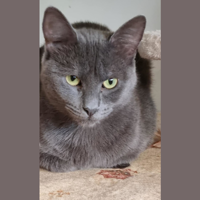 Photo of Sassy
