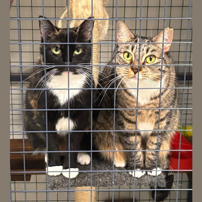 Photo of Prue & Trude