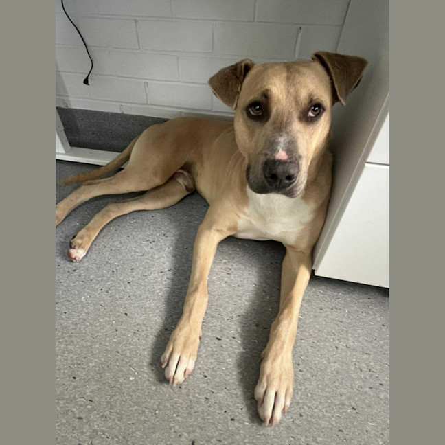 Photo of Mike! 🛋️🦎