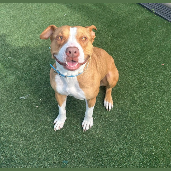 Photo of Nelly