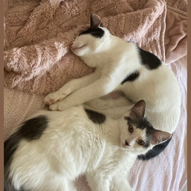 Photo of Alex & Bella